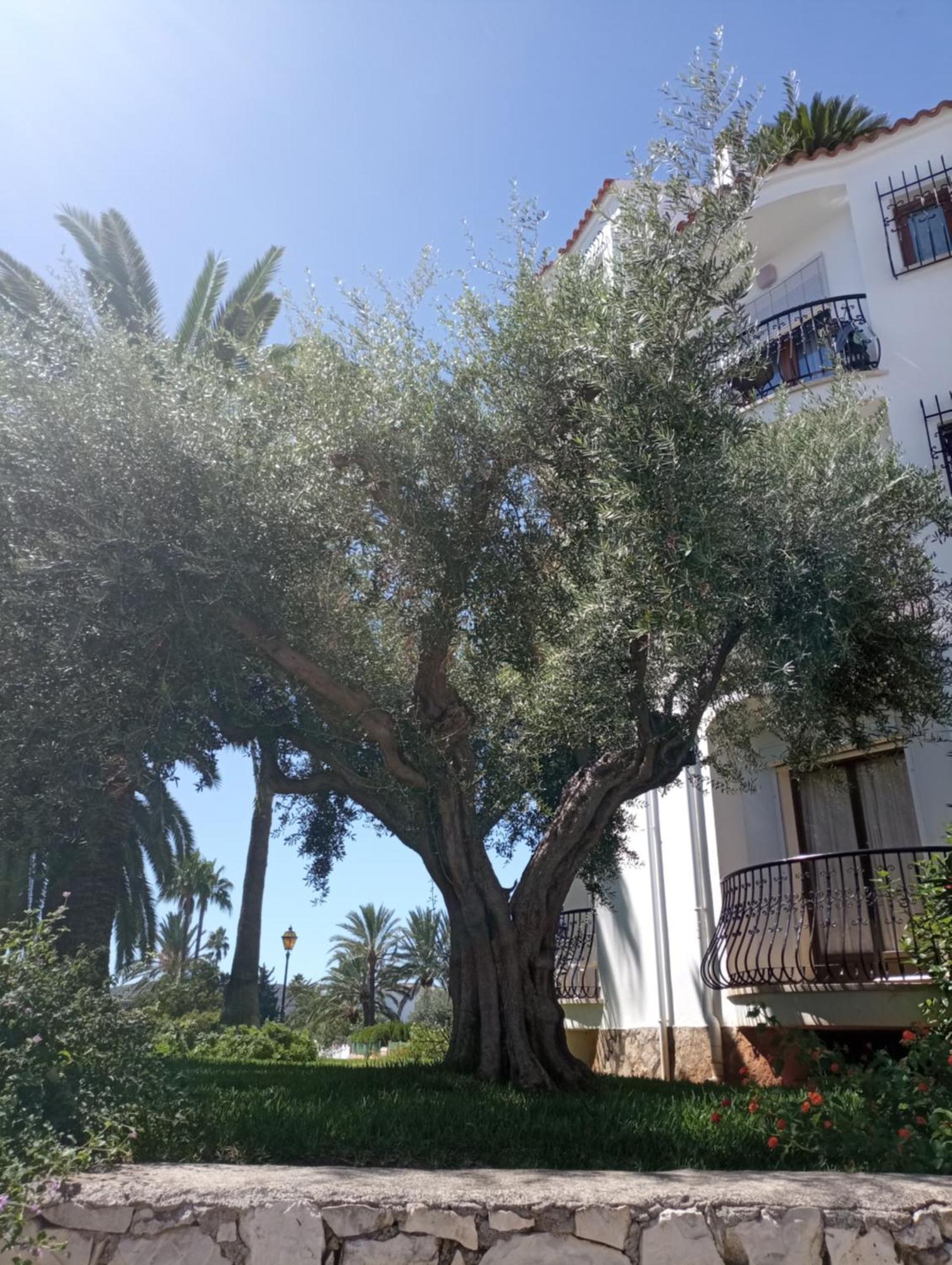 Estudio Alfil-piscina Apartment Denia